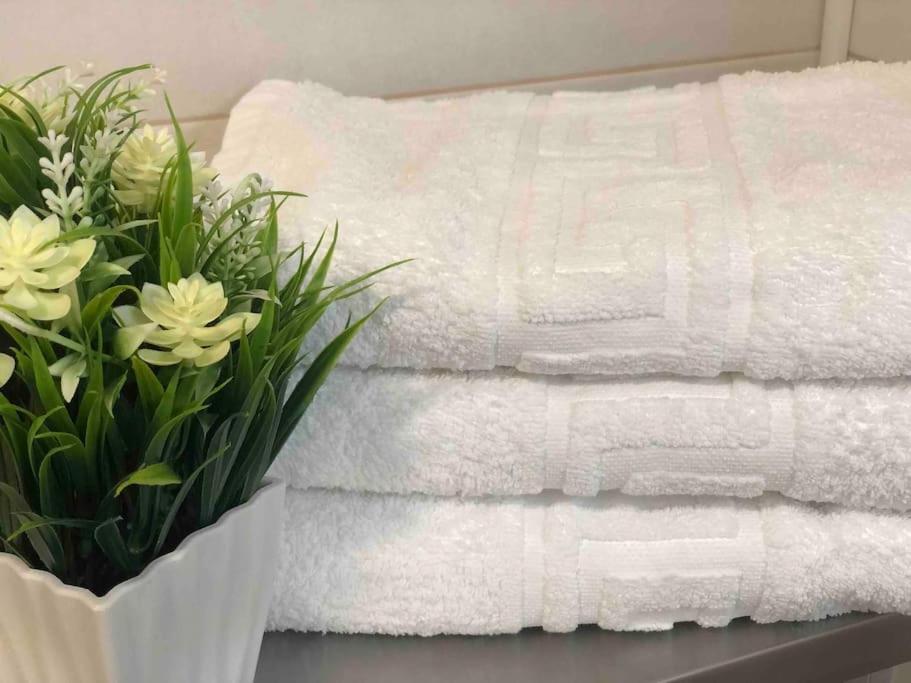 Apartment Andaluz Carma *